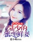 攻城掠爱：陆少的蜜恋鲜妻