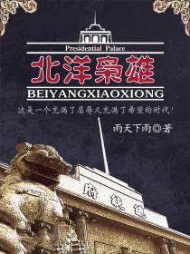 北洋枭雄