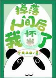 掉落人间后我怀崽了