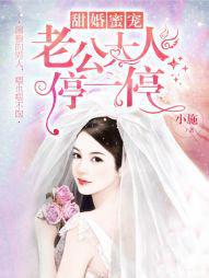 甜婚蜜宠：老公大人停一停
