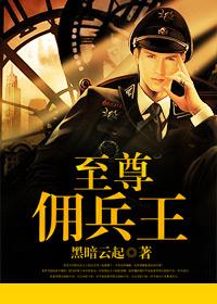 至尊佣兵王