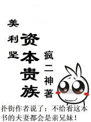 美利坚资本贵族